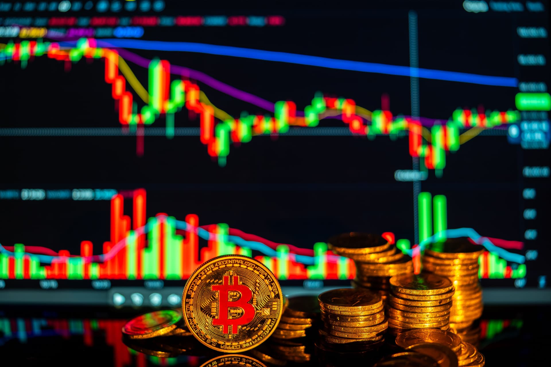 Moedas diante de um gráfico de investimentos